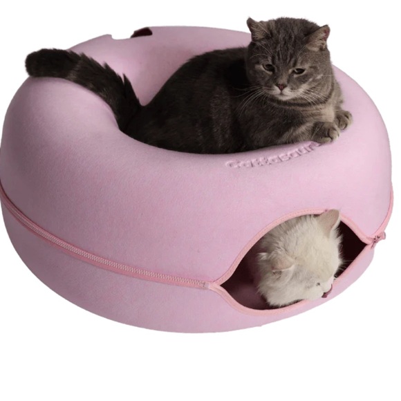 cattasaurus Other - Cattasaurus peekaboo cat cave. Brand new, never used. My cats love theirs!